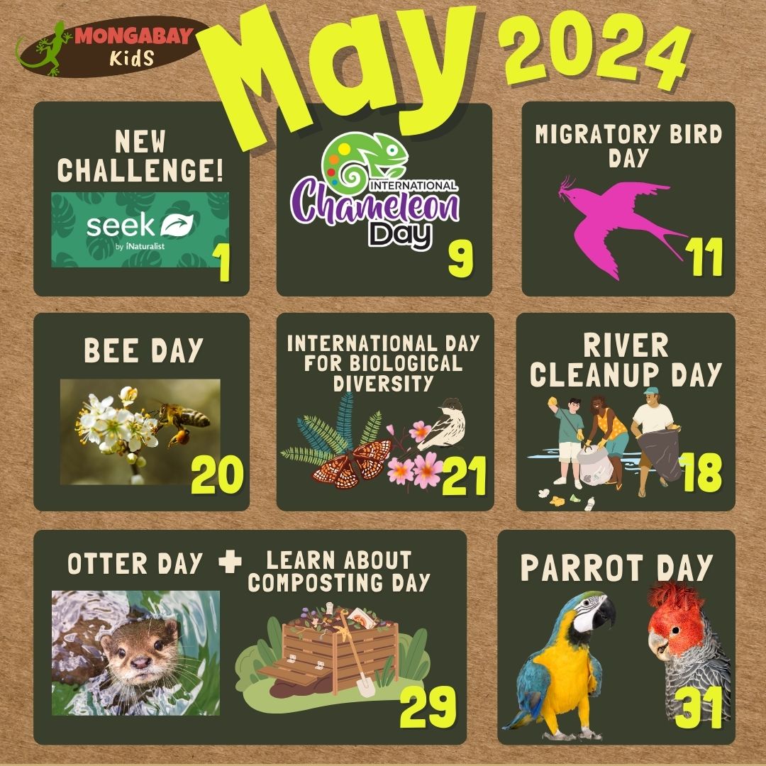 May environmental dates
