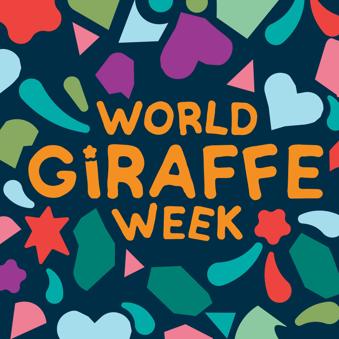 World Giraffe Week 2024: Super spots! – Mongabay Kids