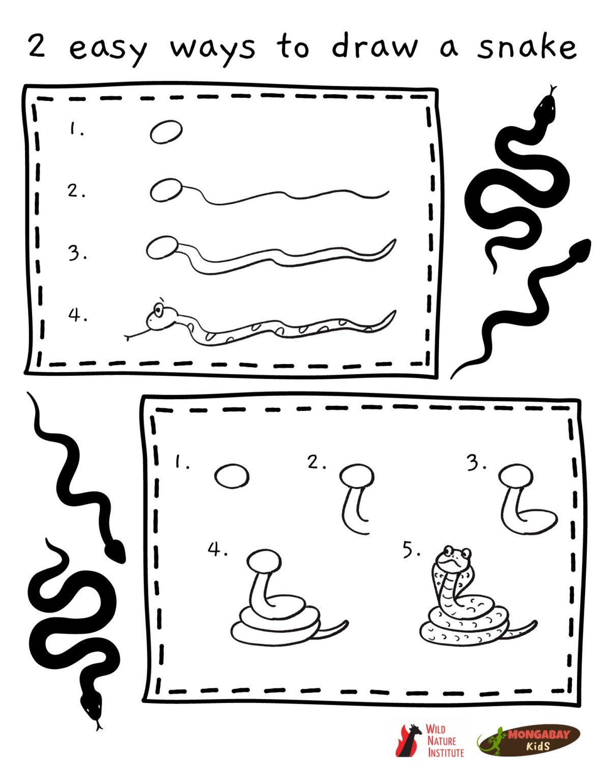 How to draw a snake – Mongabay Kids