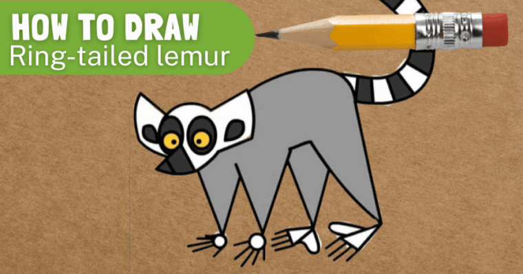 how to draw ring-tailed lemur