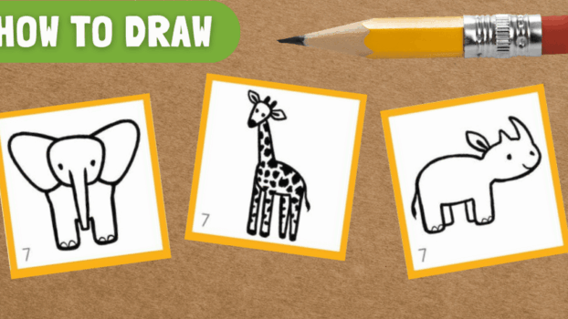 how to draw rhino, giraffe, and elephant
