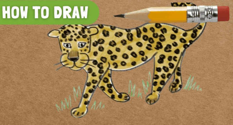 how to draw leopard
