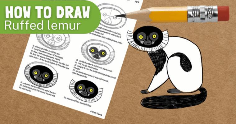 how to draw black-and-white ruffed lemur