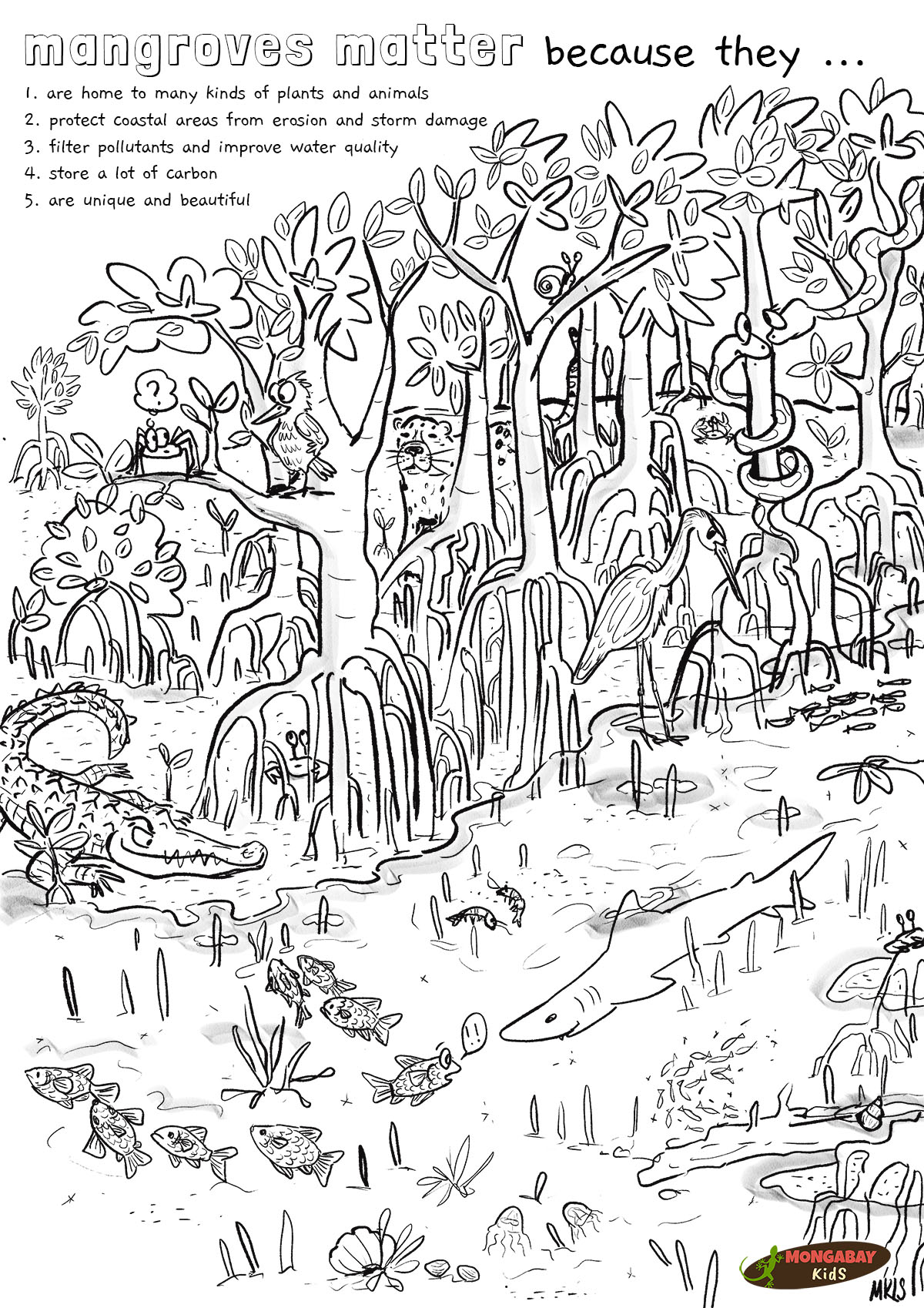 mangrove coloring page