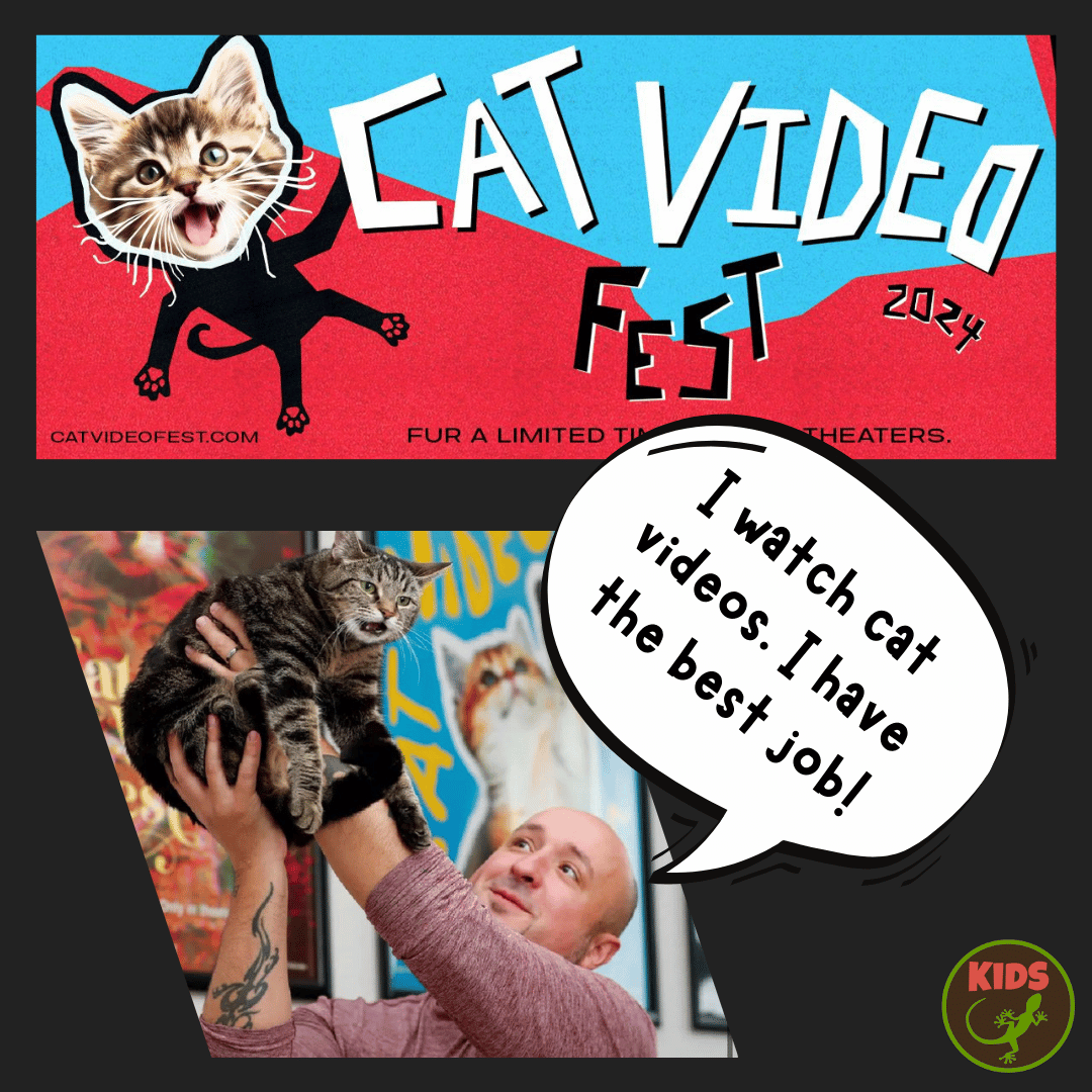 Interview with CatVideoFest director Will Braden