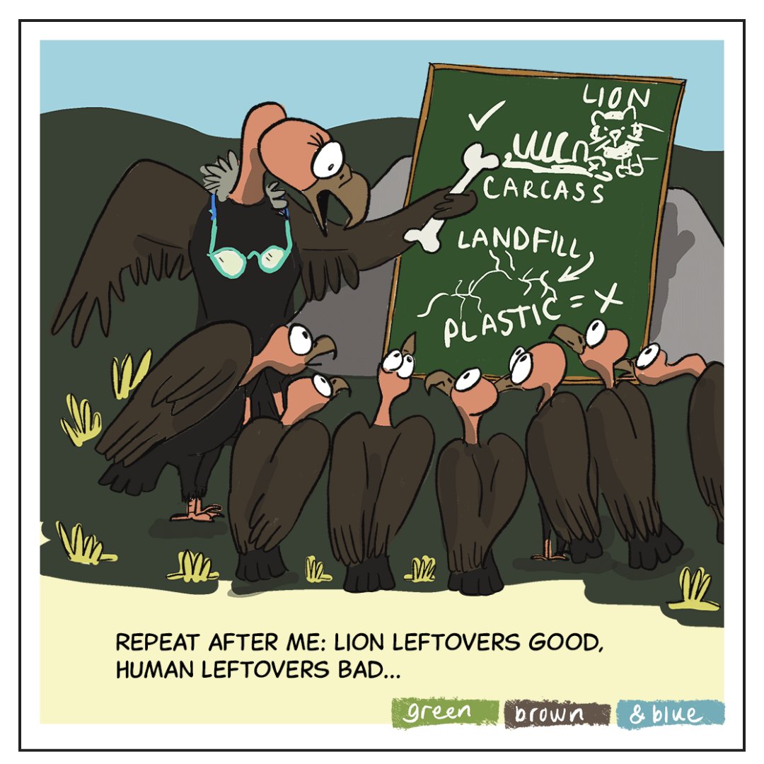 vulture school cartoon