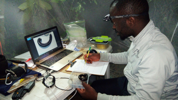 Researcher studying millipedes from Tanzanian mountains