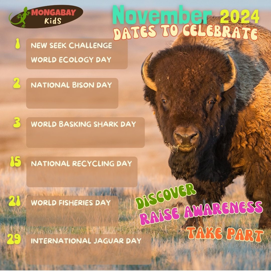 October 2024 biodiversity celebration dates