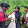 Meet the tribal leader who helps protect the Philippine eagle