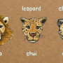 How to draw: lion, leopard, cheetah