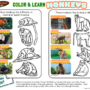 Color and learn: Monkeys!