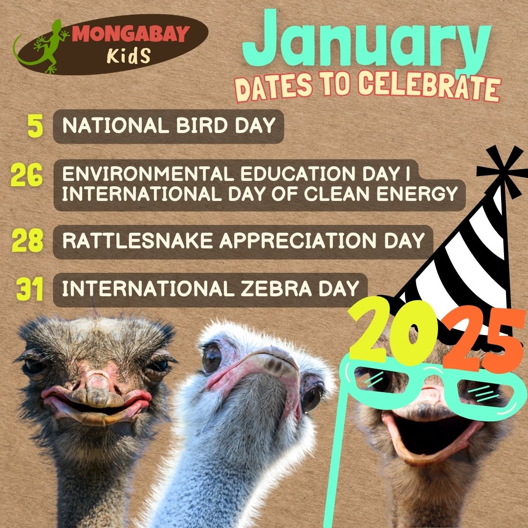 January environmental calendar