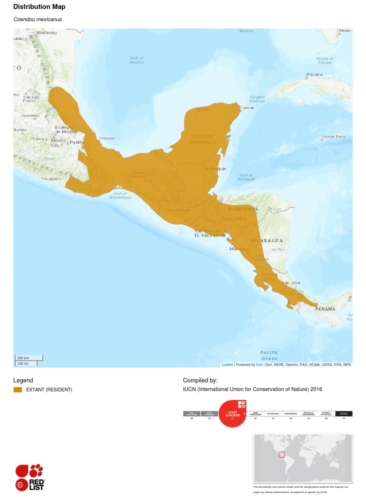 Range map for the Mexican hairy dwarf porcupine