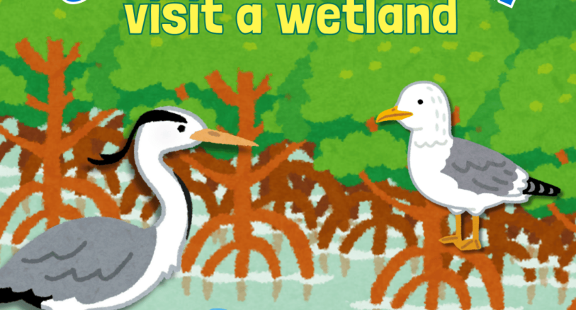 Get Outside! Visit a wetland