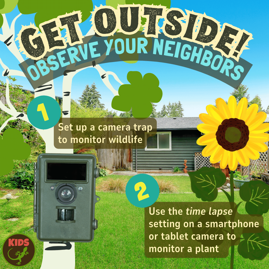 Get Outside! Observe your neighbors