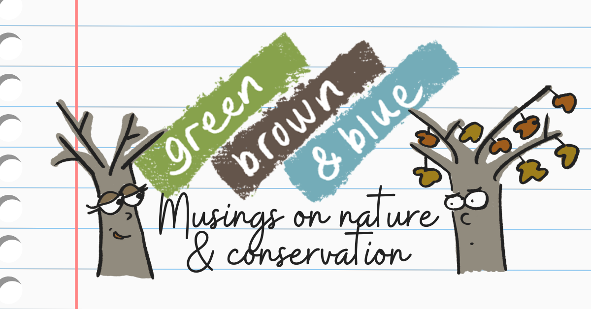 green brown & blue cartoons