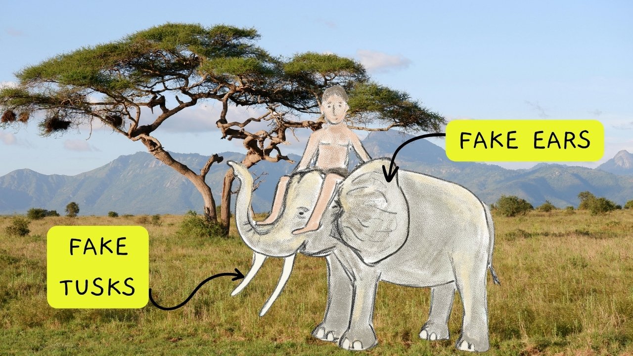 sketch of illustrations with fake ears and tusks
