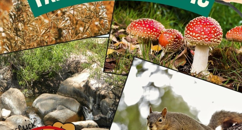 Get Outside and take a nature pic