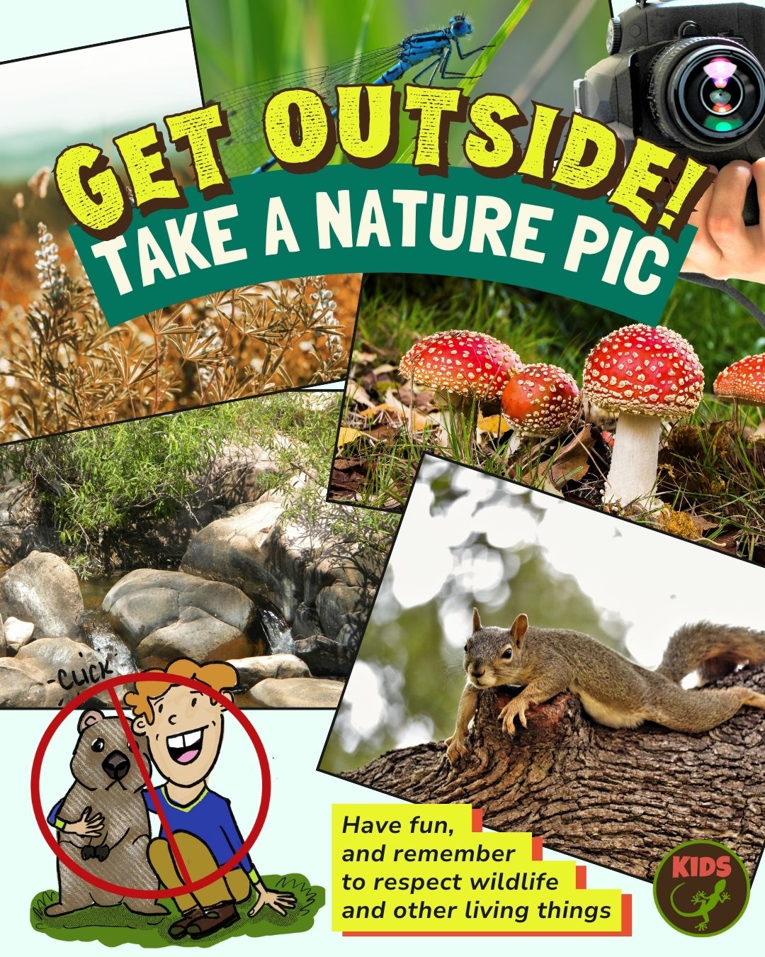 Get Outside and take a nature pic