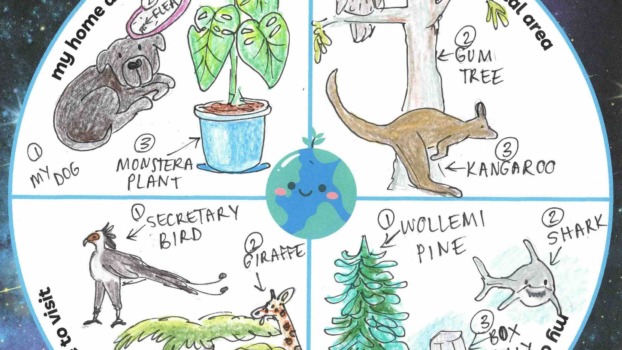 My Earth Journal page, showing drawings of animals and plants