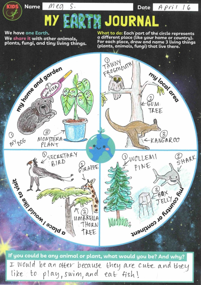 My Earth Journal page, showing drawings of animals and plants