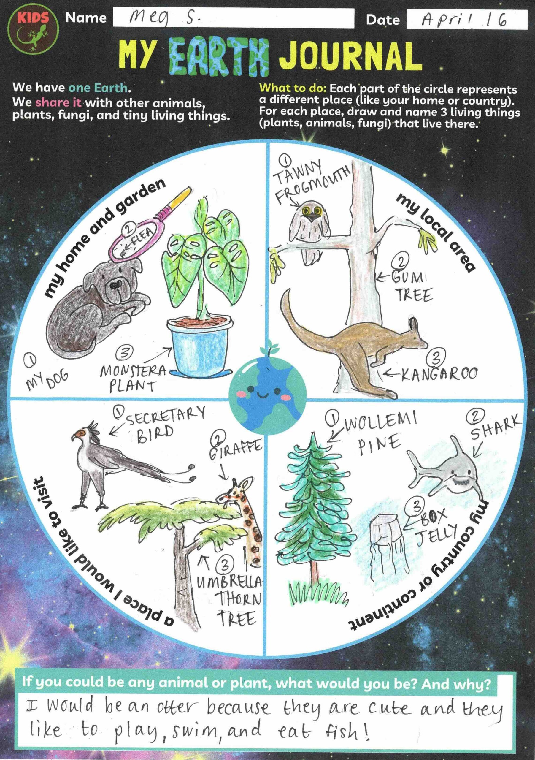 My Earth Journal page, showing drawings of animals and plants