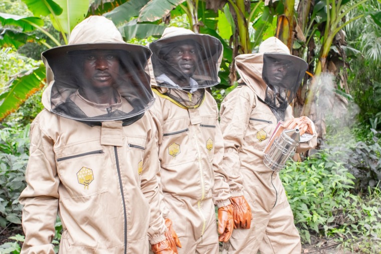 Aruna and the Tiwai Honey Initiative beekeepers