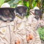 A young beekeeper is helping stop deforestation in his community in Sierra Leone