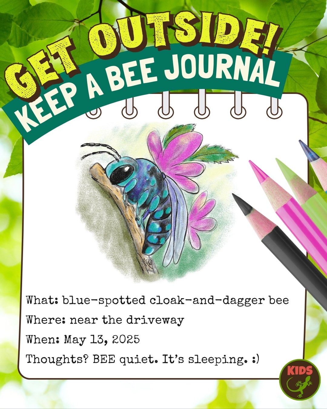 Get Outside! Keep a bee journal