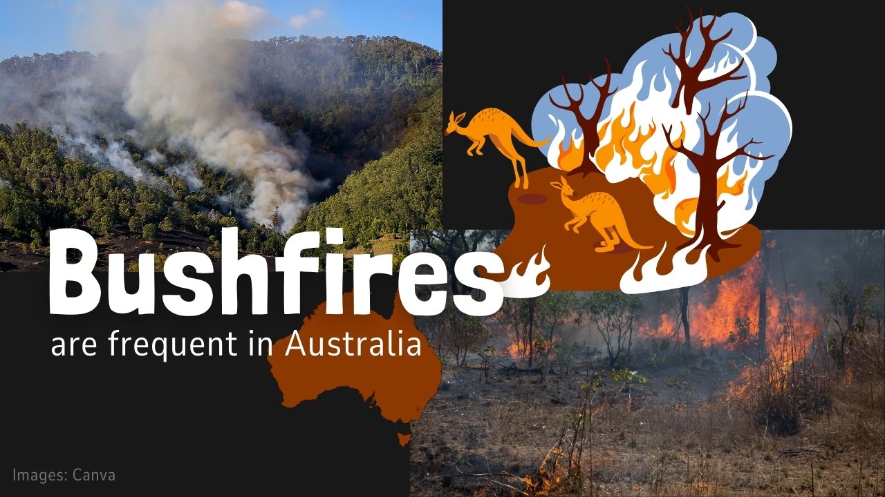 a graphic showing bushfires in Australia