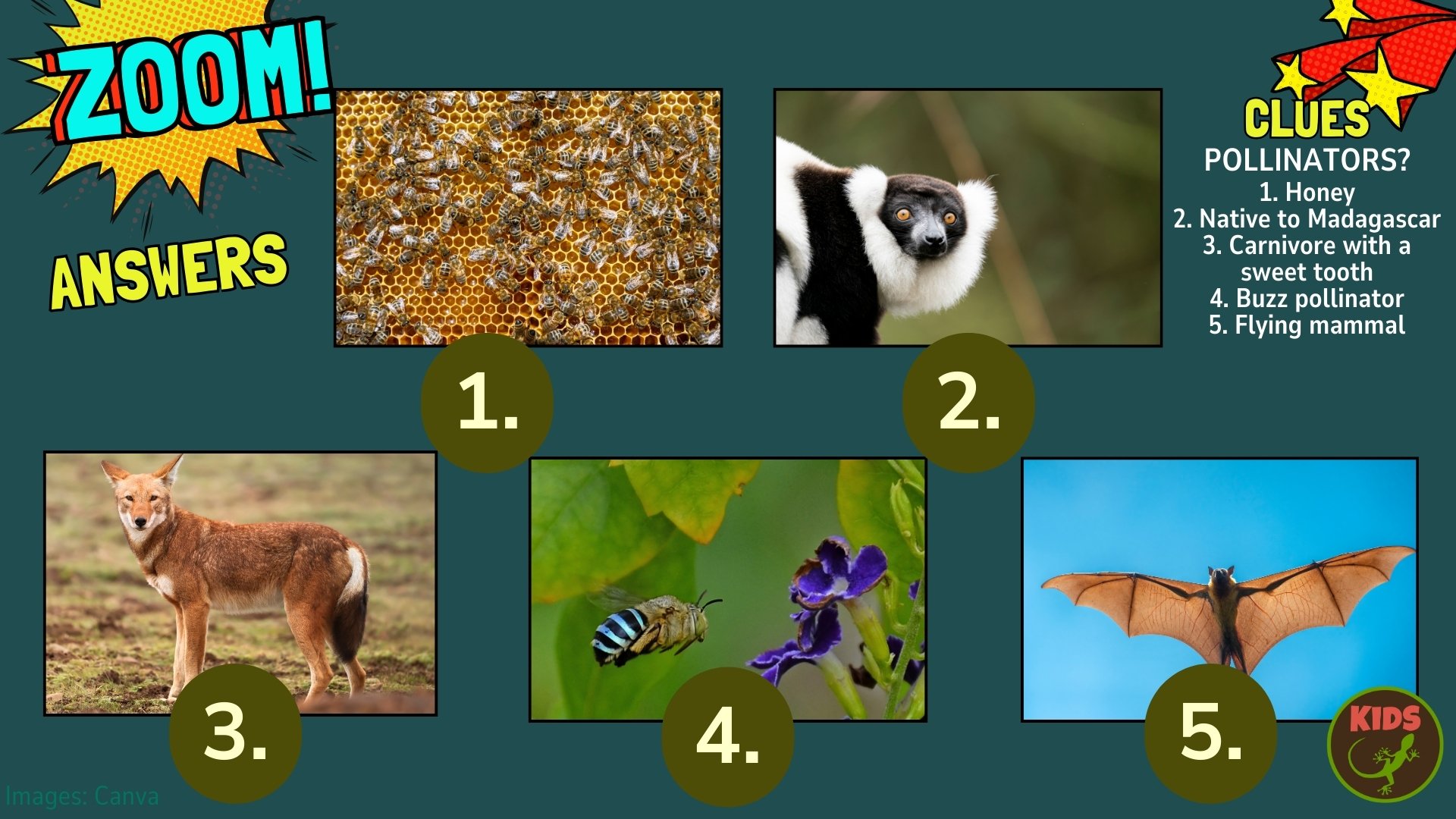 pollinators