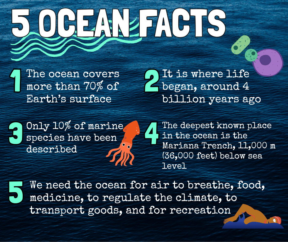 Five ocean facts