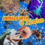 Spot the difference: Animals with 8 limbs