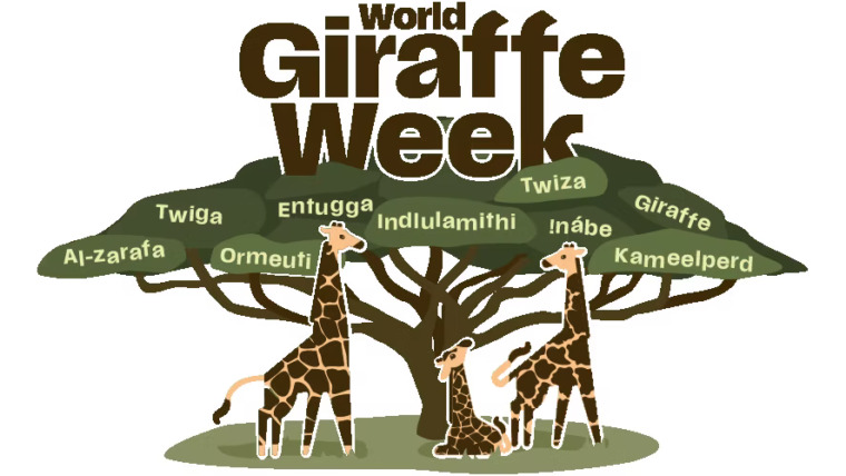 Logo for World Giraffe Week 2025