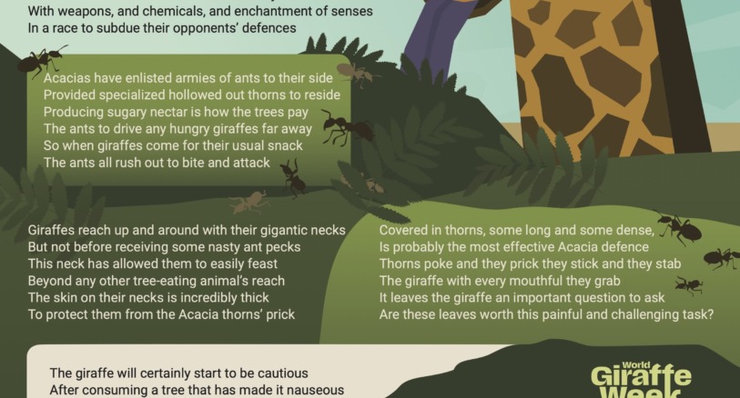 a poem about giraffes and trees