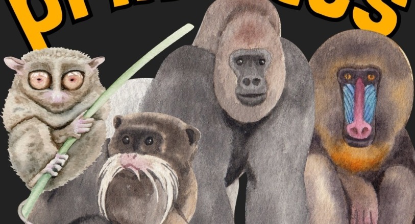 a few primates