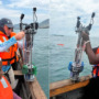 Fish bot helps find fish in an African lake