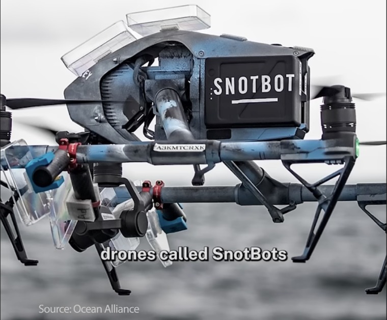 a picture of the SnotBot drone used to collect whale 'snot'