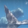 Can AI help us understand what whales are saying to each other?