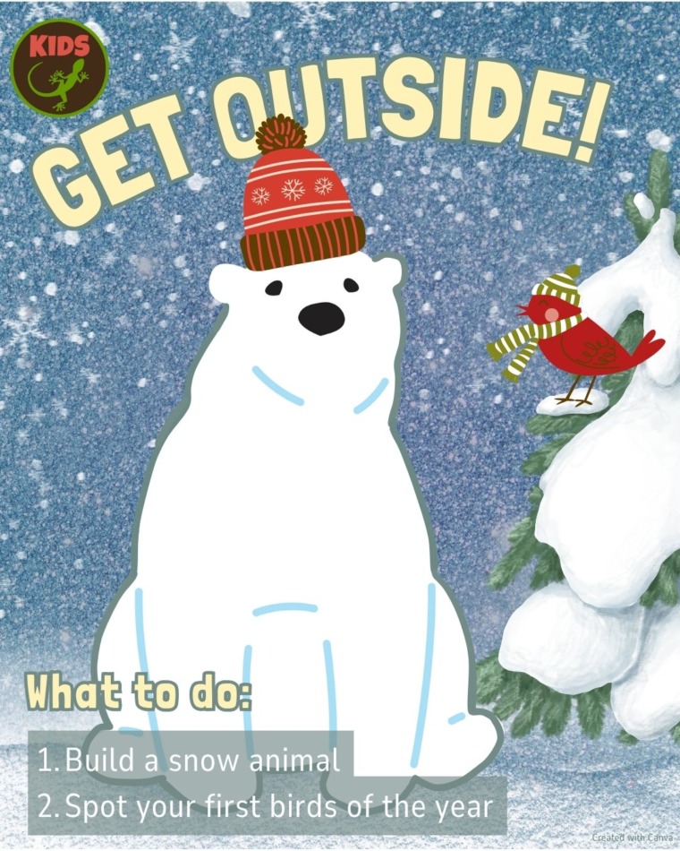Get Outside! Build a snowbear