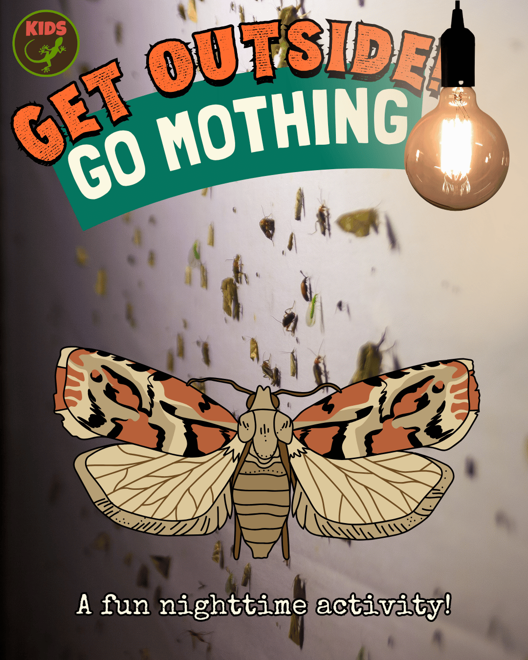 Get Outside! Go mothing