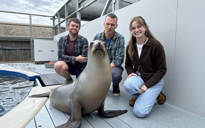Ronan the sea lion and the research team