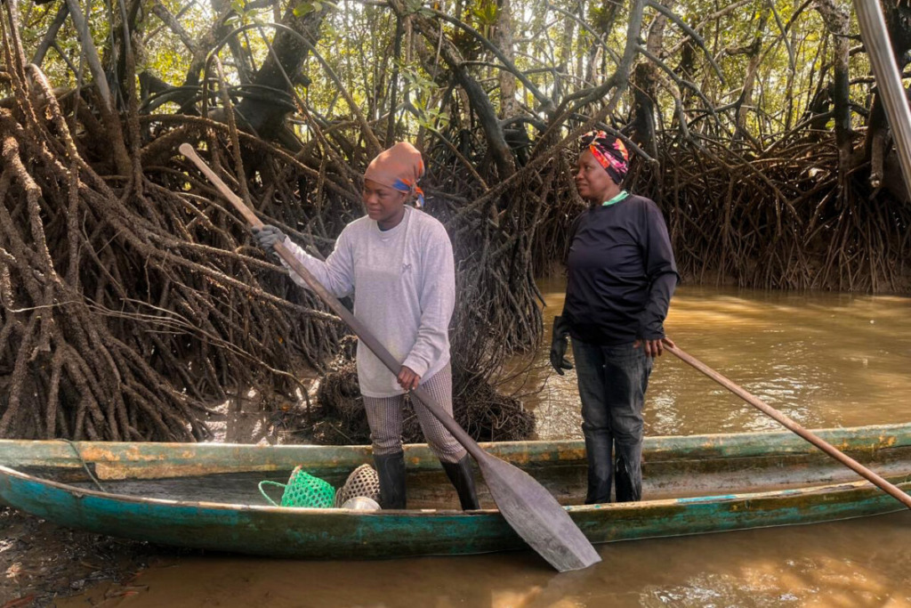 Clam collectors travel through mangroves