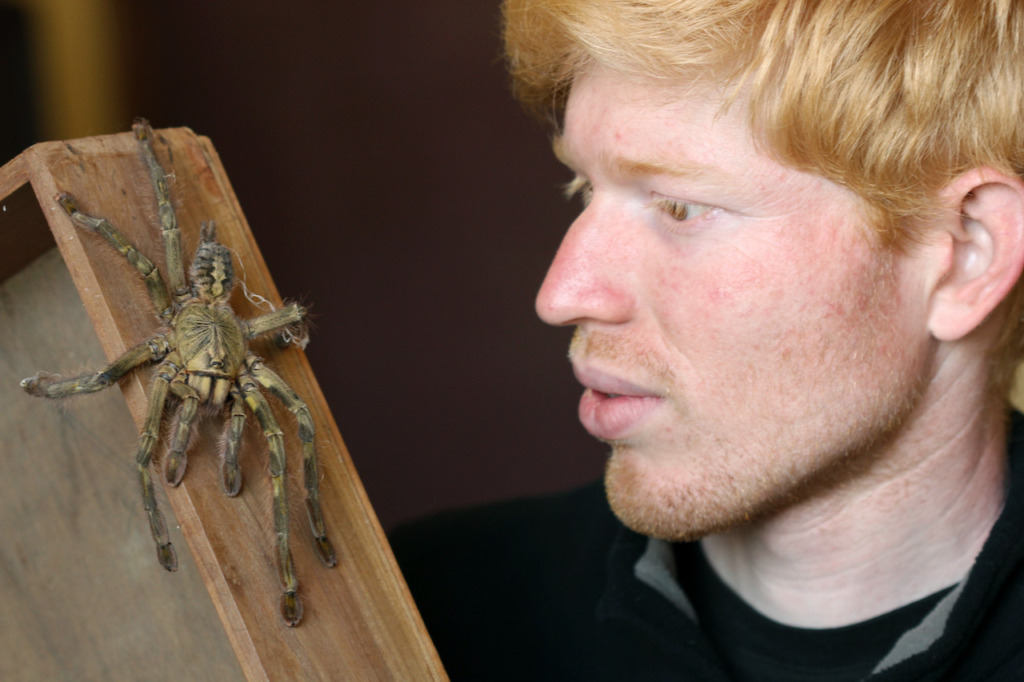 Zeeshan Mirza examining an endemic tarantula