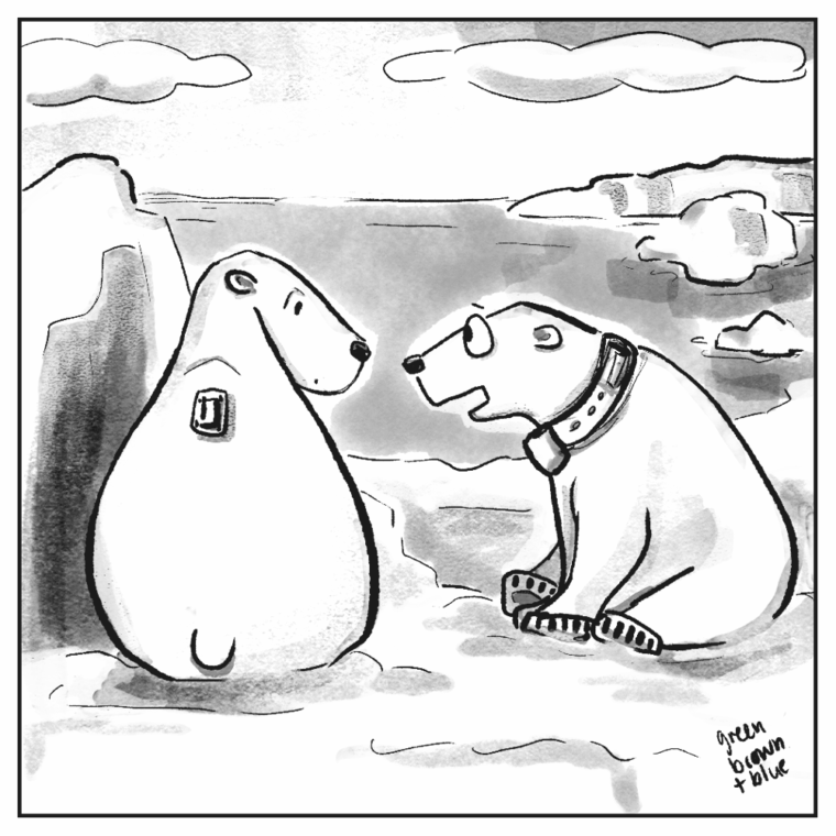 A cartoon showing two polar bears sitting next to each other