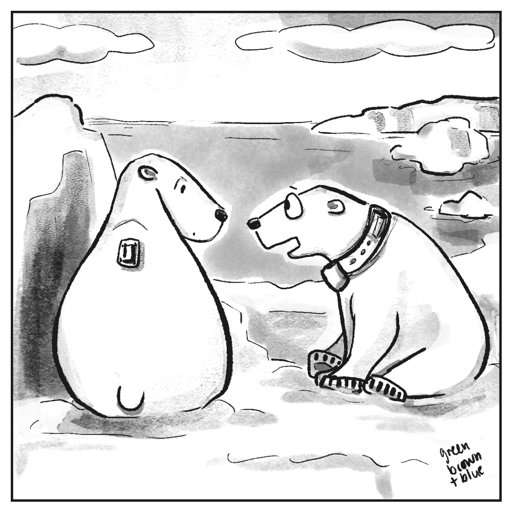 A cartoon showing two polar bears sitting next to each other