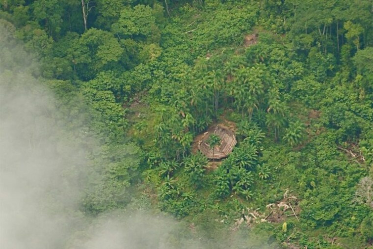 Long houses of uncontacted groups