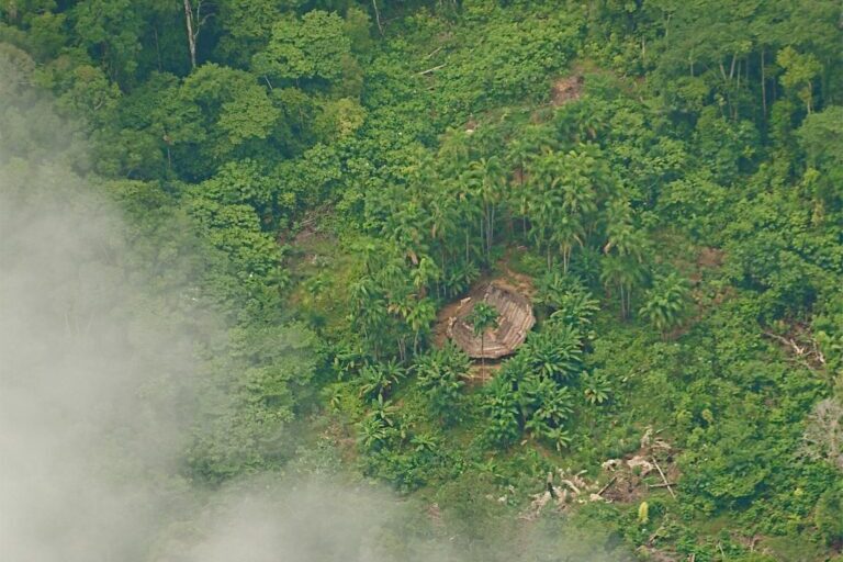 Long houses of uncontacted groups