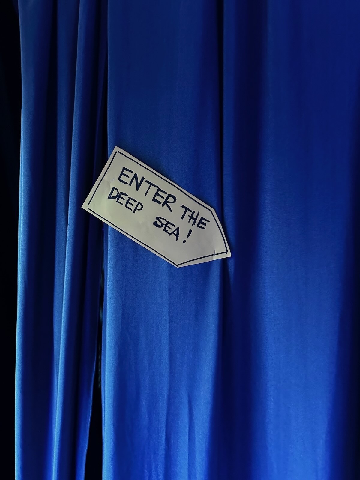 undersea exhibit at Menzies Creek Primary School