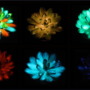 Could plants become lamps?